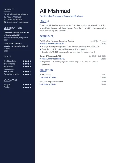 Banking & Finance CV template