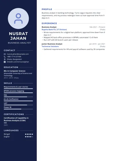 Business Analyst Resume template
