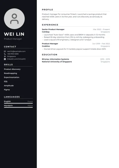 Product Manager Resume template