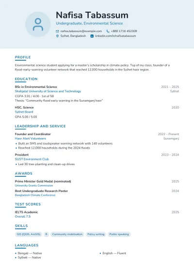 Scholarship CV template